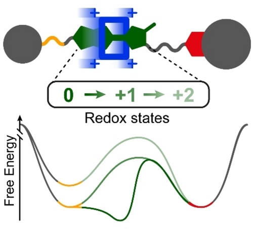 Referee between charged and preorganized receptors